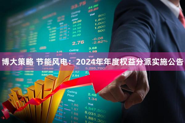 博大策略 节能风电：2024年年度权益分派实施公告