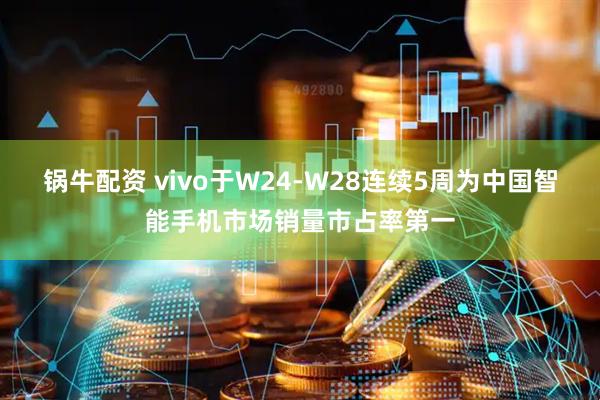 锅牛配资 vivo于W24-W28连续5周为中国智能手机市场销量市占率第一