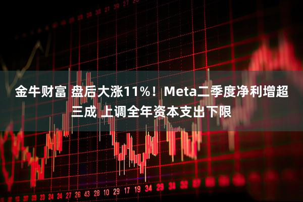 金牛财富 盘后大涨11%！Meta二季度净利增超三成 上调全年资本支出下限