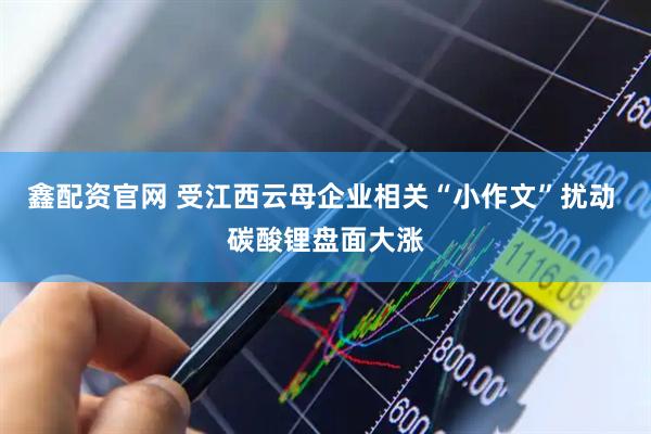 鑫配资官网 受江西云母企业相关“小作文”扰动 碳酸锂盘面大涨