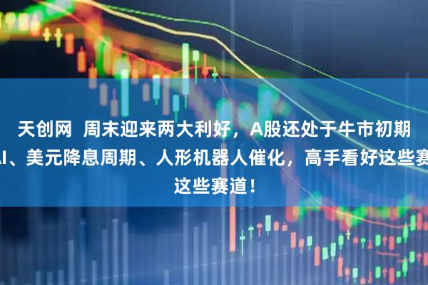 天创网  周末迎来两大利好，A股还处于牛市初期？AI、美元降息周期、人形机器人催化，高手看好这些赛道！