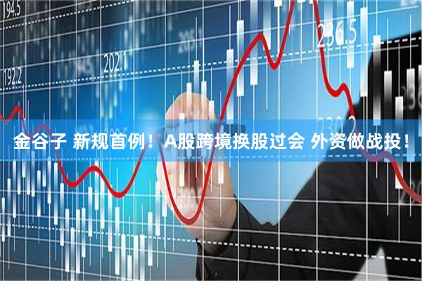 金谷子 新规首例！A股跨境换股过会 外资做战投！