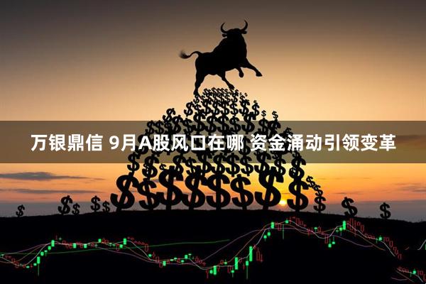 万银鼎信 9月A股风口在哪 资金涌动引领变革