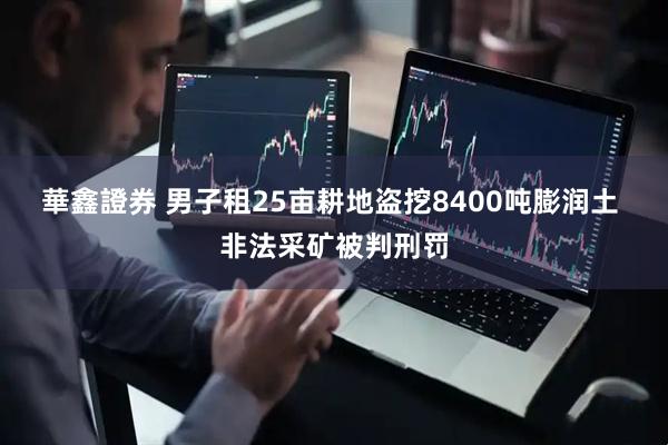 華鑫證券 男子租25亩耕地盗挖8400吨膨润土 非法采矿被判刑罚
