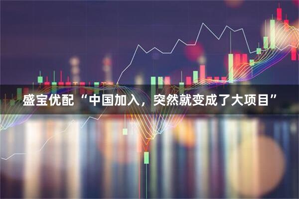 盛宝优配 “中国加入，突然就变成了大项目”